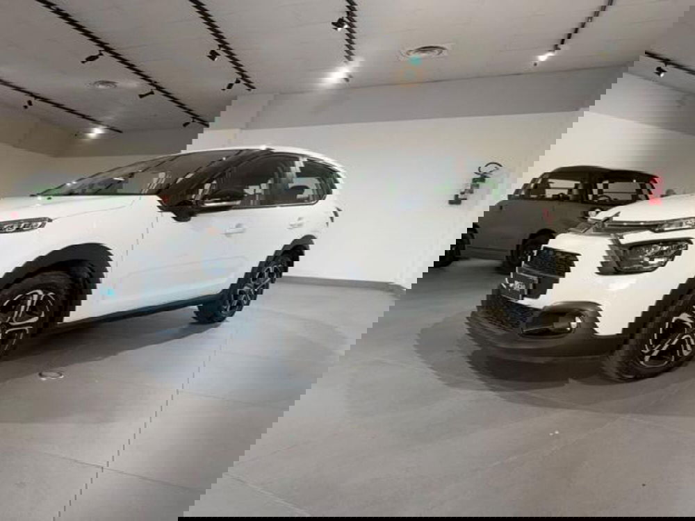 Citroen C3 usata a Salerno (8)