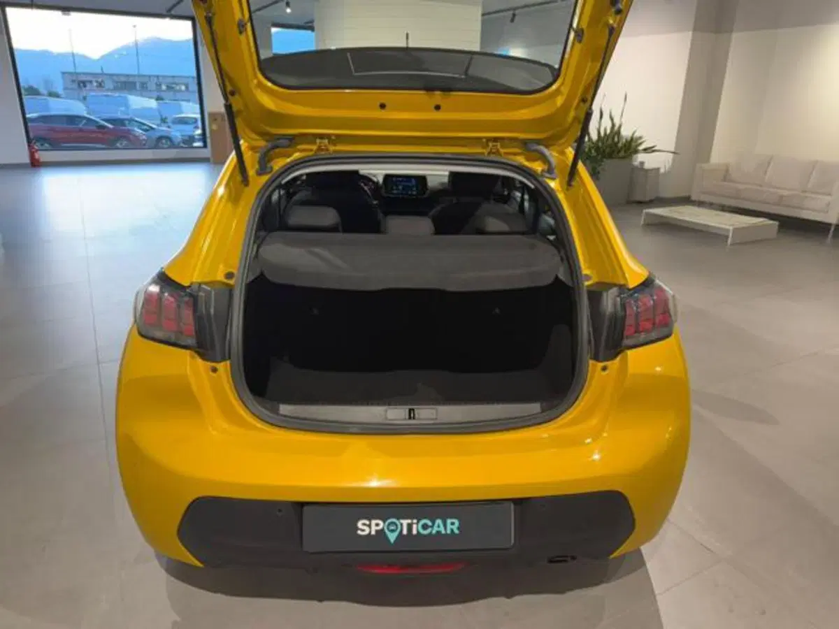 Peugeot 208 usata a Salerno (20)