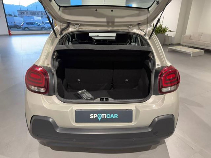 Citroen C3 usata a Salerno (20)