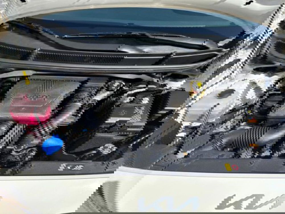 Kia Picanto nuova a Reggio Calabria (11)