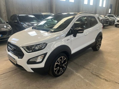 Ford EcoSport 1.0 EcoBoost 125 CV Start&amp;Stop Active del 2023 usata a Lodi