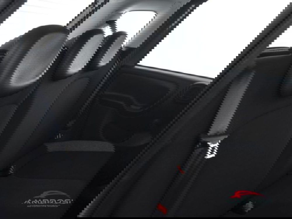 Fiat Panda usata a Perugia (11)