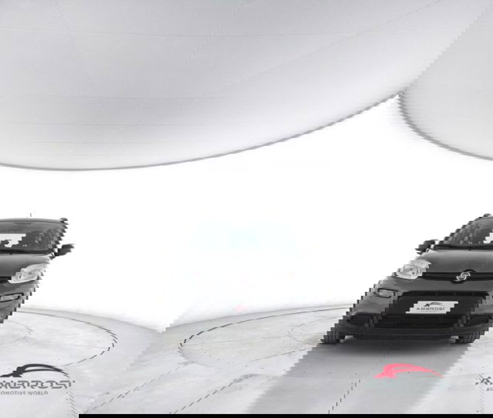 Fiat Panda usata a Perugia (5)