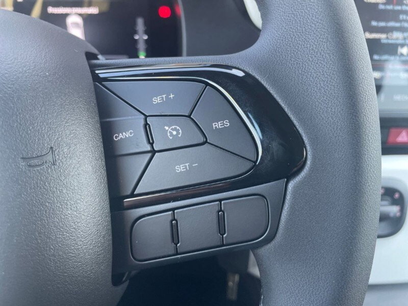 Fiat Panda Cross nuova a Lecco (15)