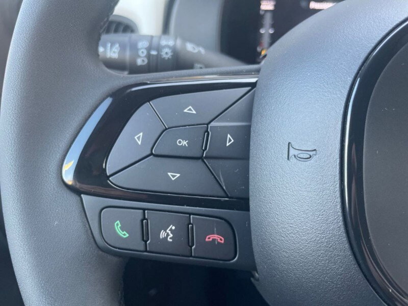 Fiat Panda Cross nuova a Lecco (16)