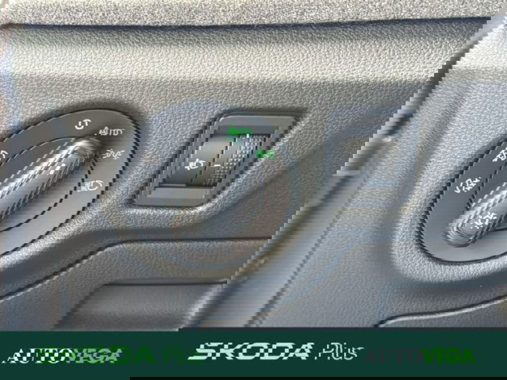 Skoda Kamiq usata a Vicenza (13)