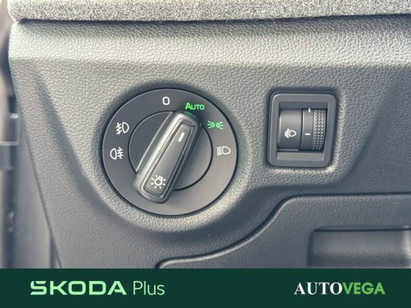 Skoda Kamiq usata a Vicenza (13)