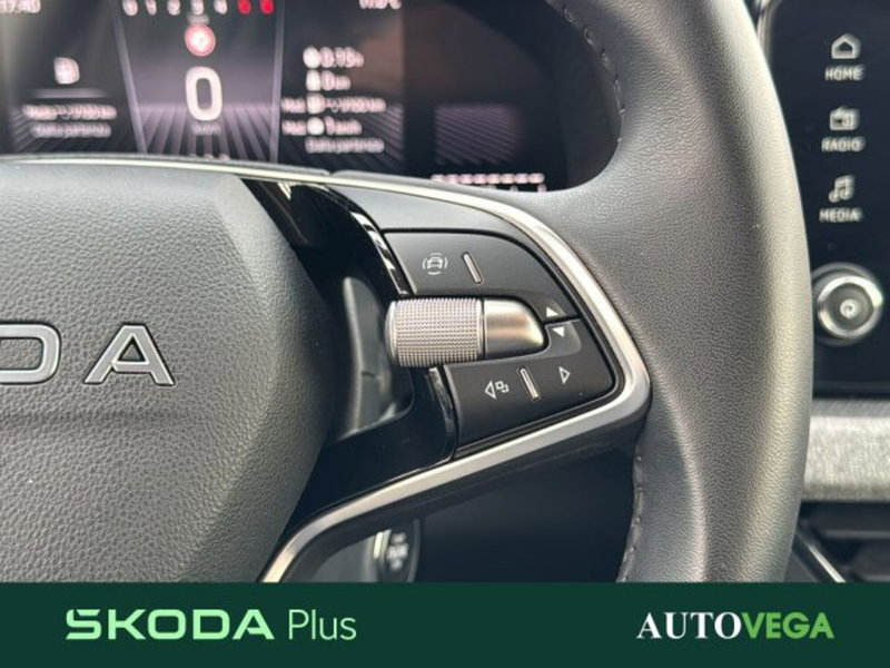 Skoda Kamiq usata a Vicenza (20)