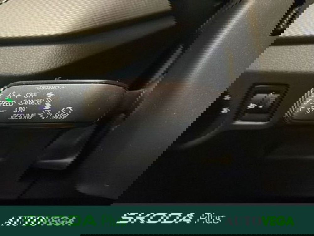 Skoda Kamiq usata a Vicenza (16)