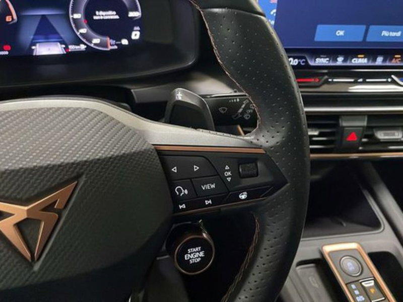 Cupra Leon usata a Vicenza (16)