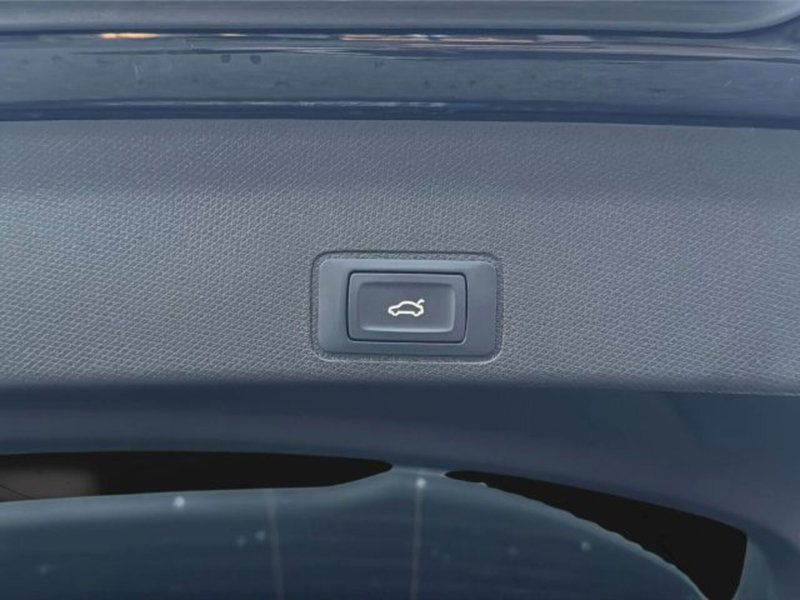 Cupra Terramar usata a Vicenza (12)