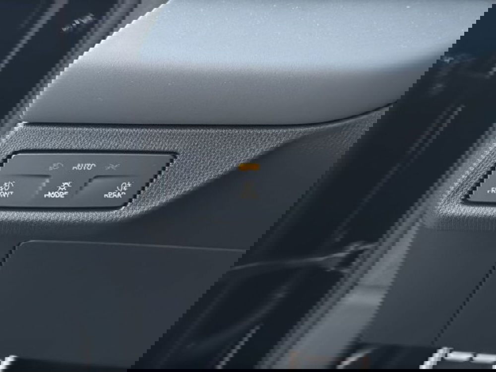 Cupra Terramar usata a Vicenza (14)