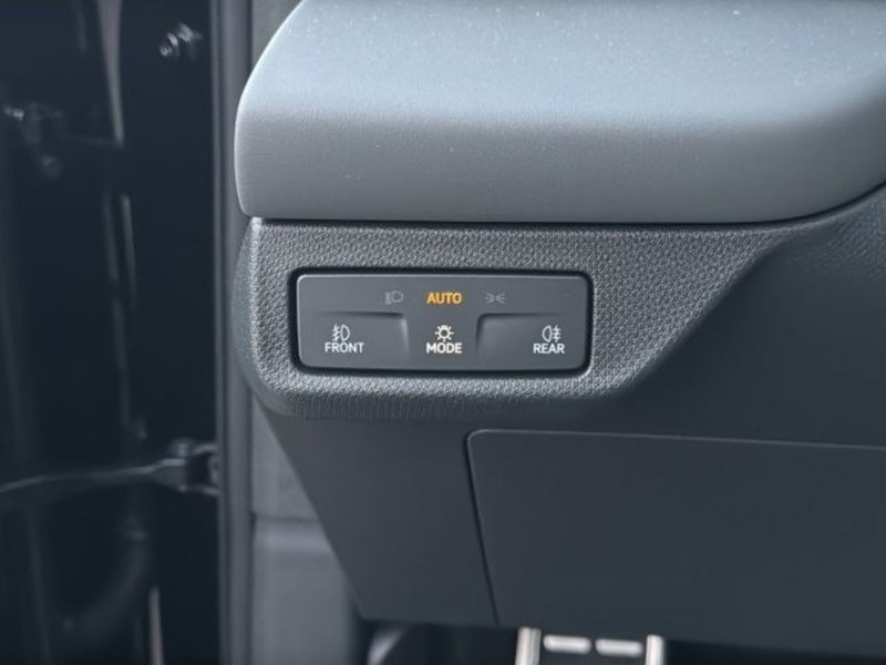 Cupra Terramar usata a Vicenza (14)