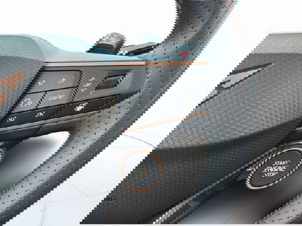 Cupra Terramar usata a Vicenza (18)