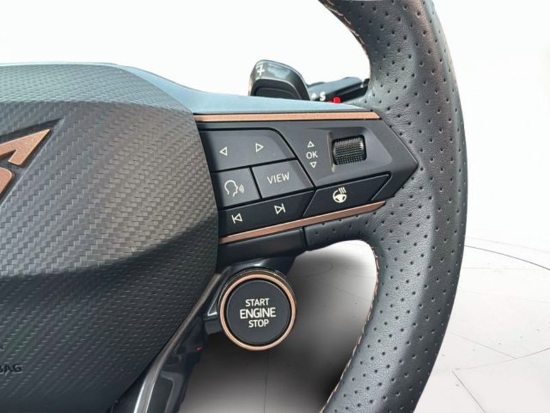 Cupra Terramar usata a Vicenza (18)