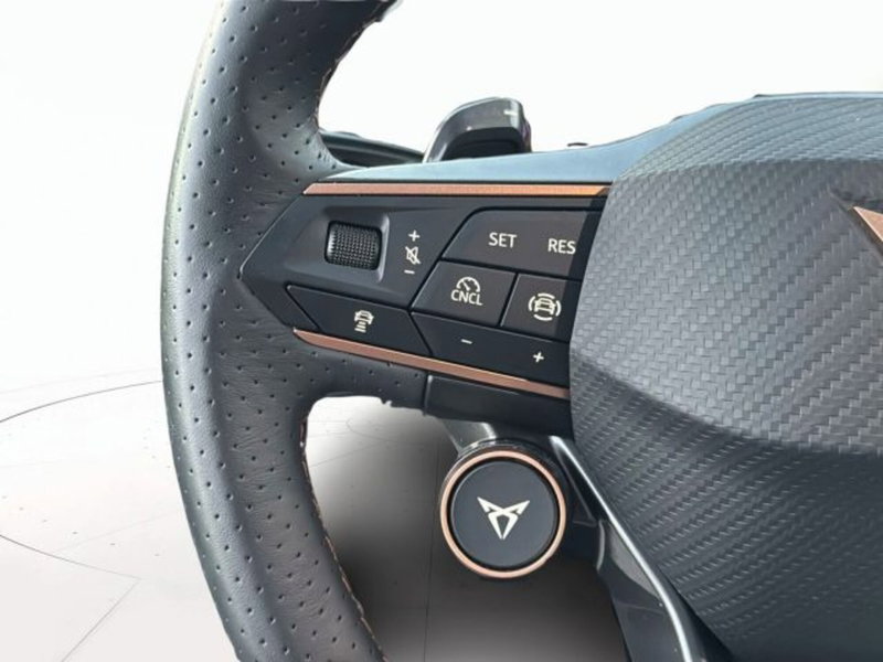 Cupra Terramar usata a Vicenza (19)