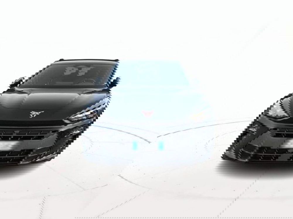 Cupra Terramar usata a Vicenza (2)