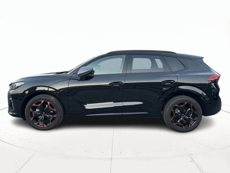 Cupra Terramar usata a Vicenza (6)