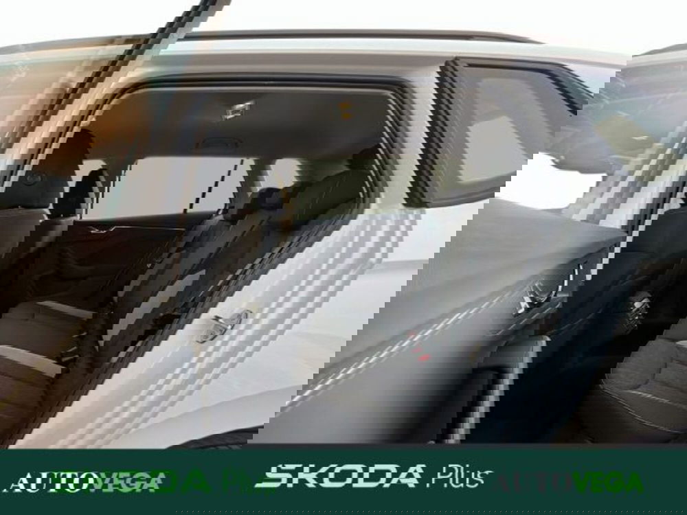 Skoda Kamiq usata a Vicenza (19)