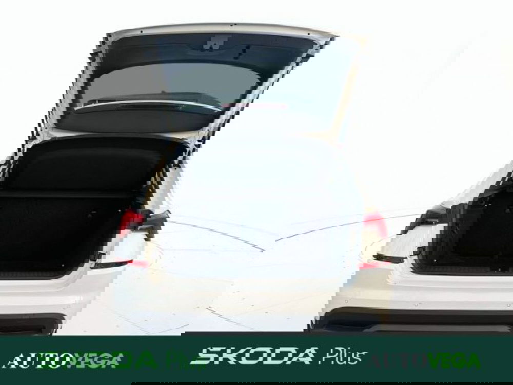 Skoda Kamiq usata a Vicenza (20)