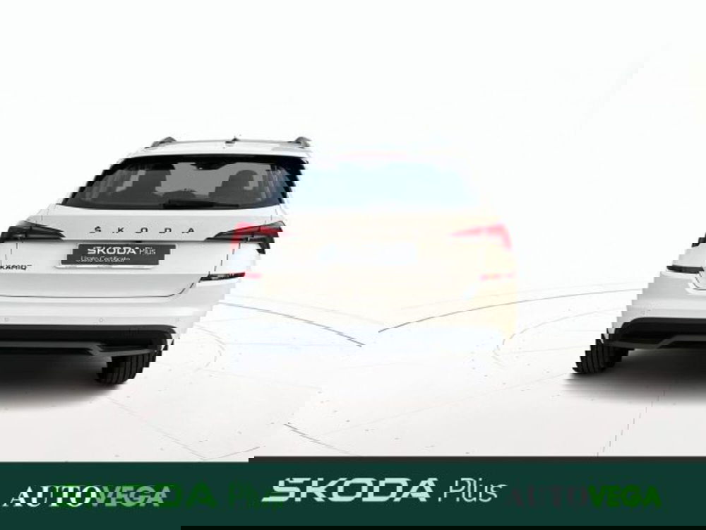 Skoda Kamiq usata a Vicenza (5)