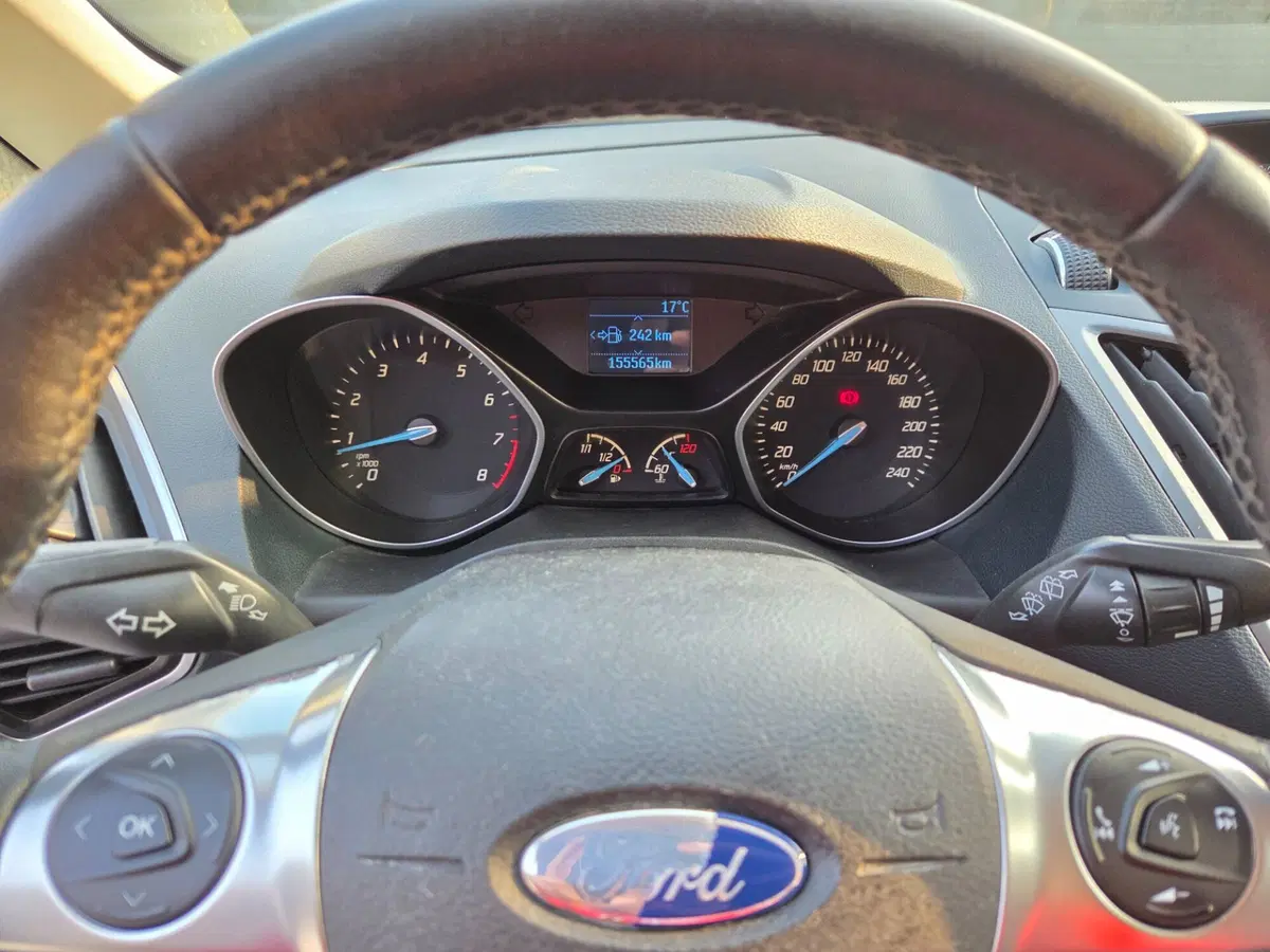Ford C-Max usata a Torino (13)