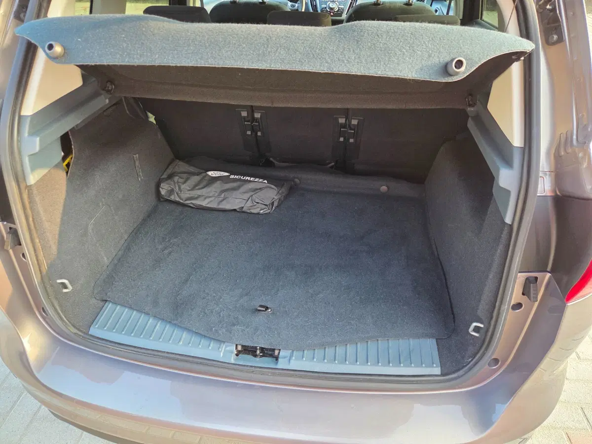 Ford C-Max usata a Torino (16)