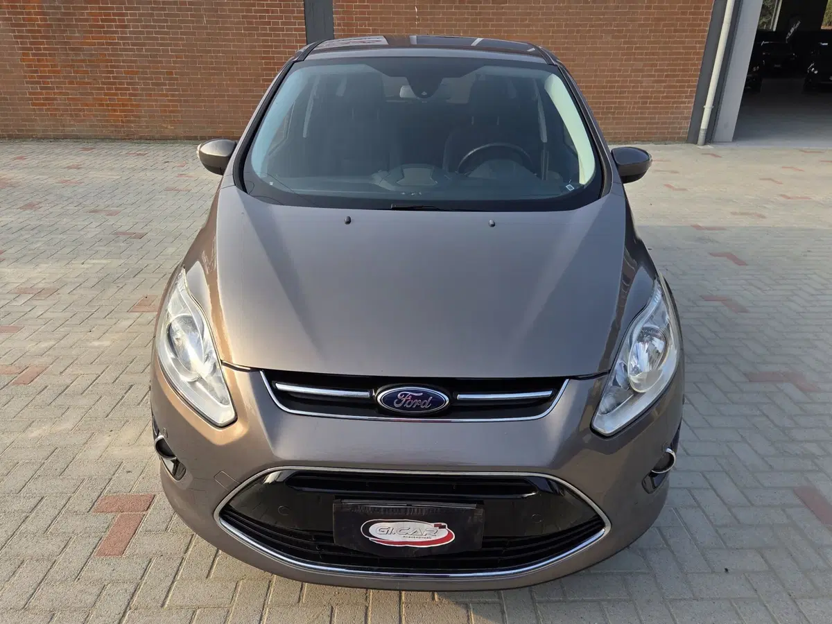 Ford C-Max usata a Torino (6)