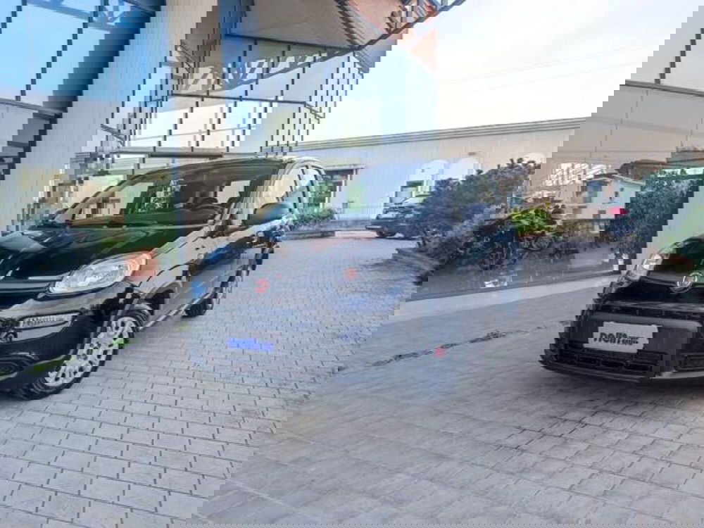 Fiat Panda usata a Pisa