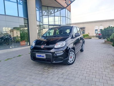 Fiat Panda 1.0 firefly hybrid s&amp;s 70cv 5p.ti del 2023 usata a Castelfranco di Sotto