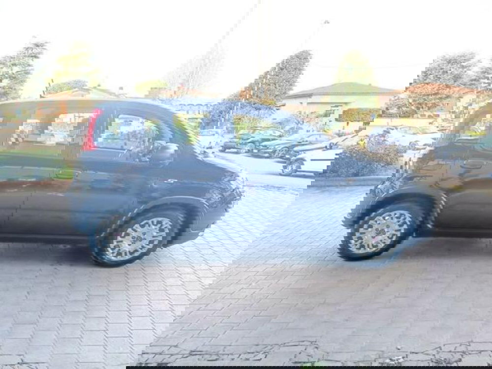 Fiat Panda usata a Pisa (10)