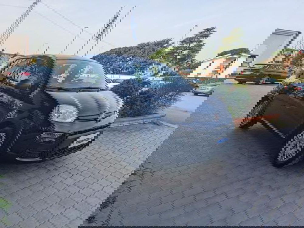 Fiat Panda usata a Pisa (11)