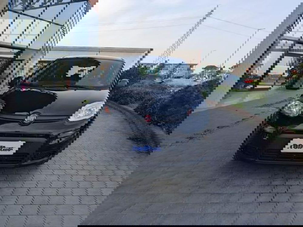 Fiat Panda usata a Pisa (2)