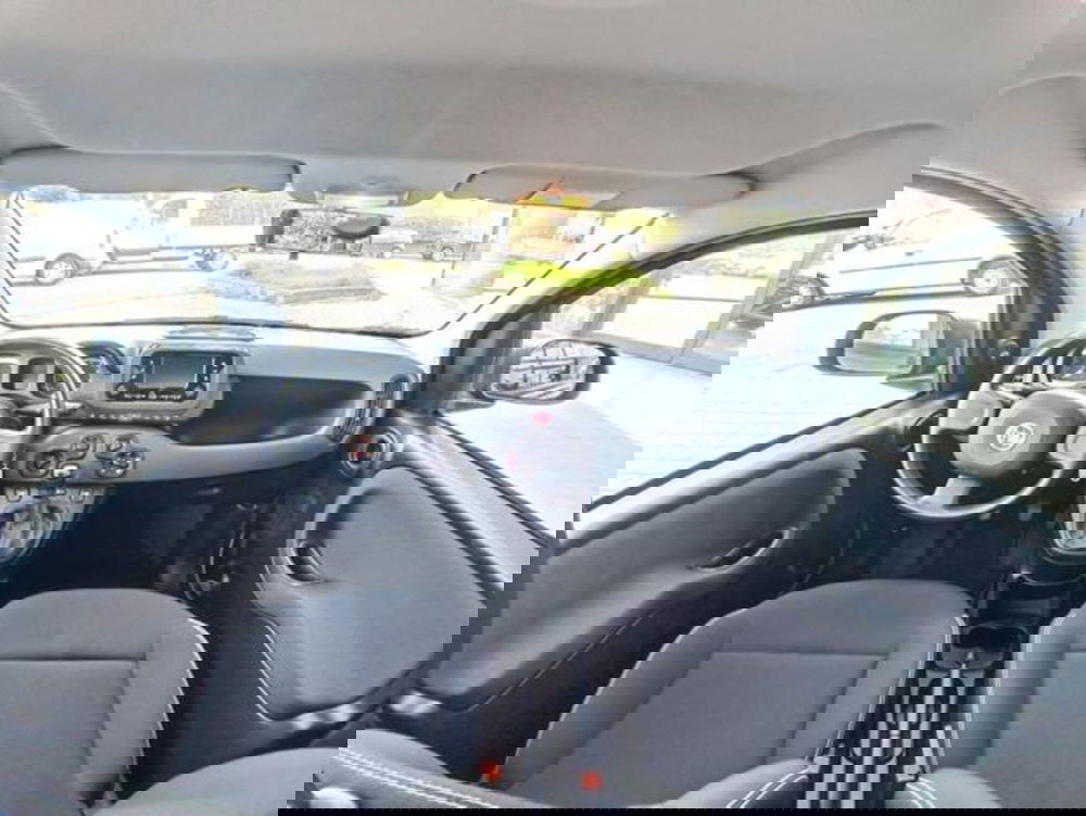 Fiat Panda usata a Pisa (20)