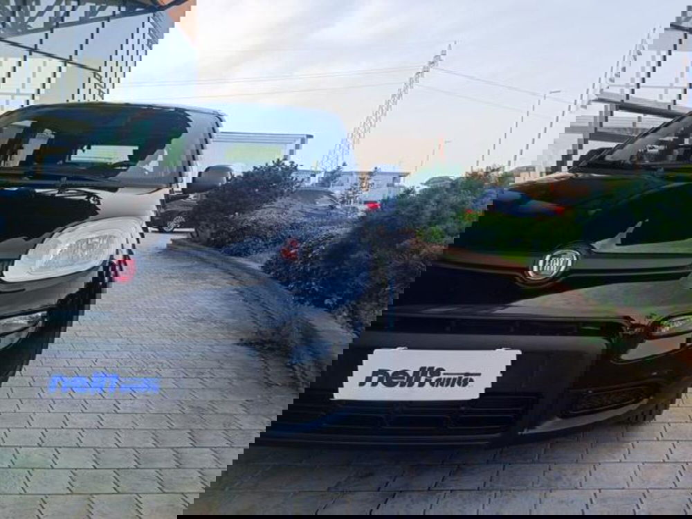 Fiat Panda usata a Pisa (3)