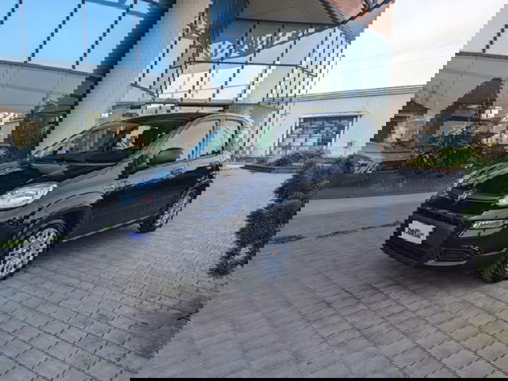 Fiat Panda usata a Pisa (4)