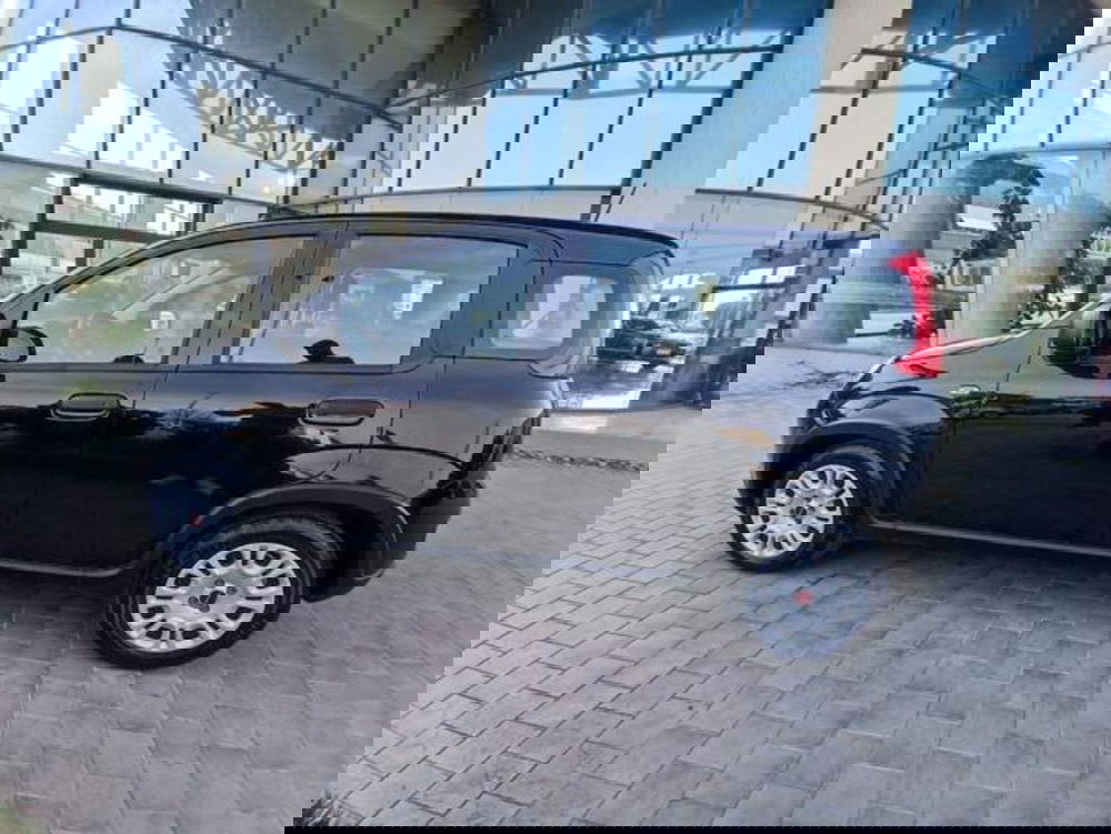 Fiat Panda usata a Pisa (5)
