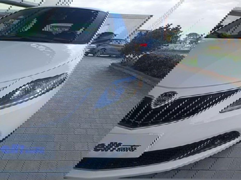 Lancia Ypsilon usata a Pisa (16)