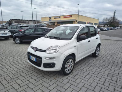 Fiat Panda 0.9 TwinAir Turbo Natural Power Easy del 2020 usata a Montelupo Fiorentino