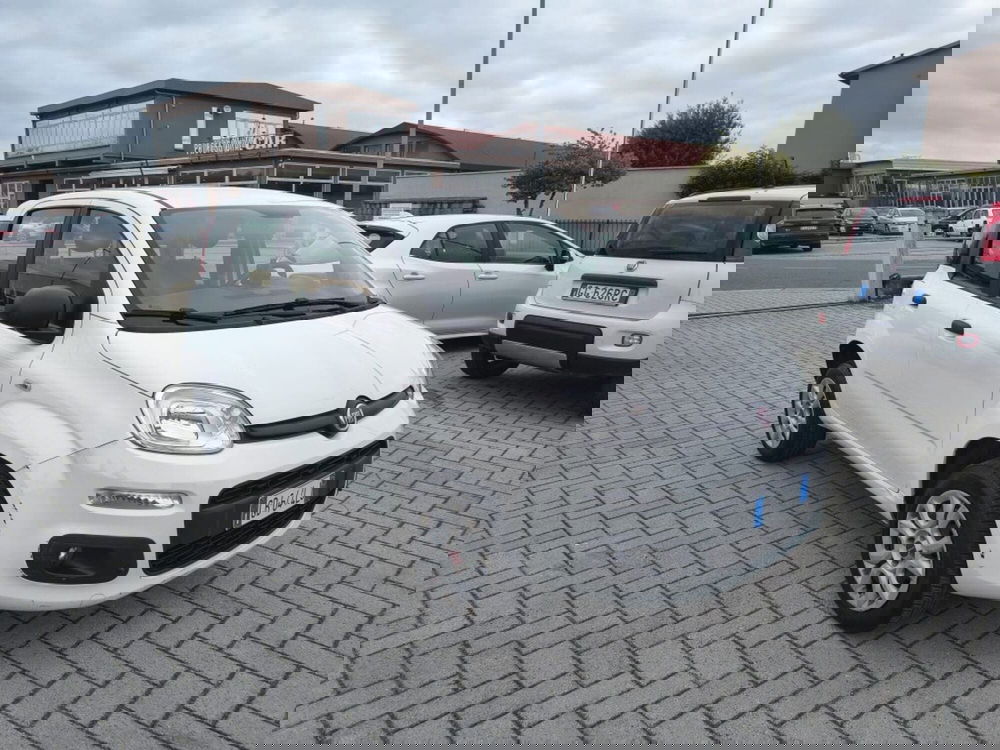 Fiat Panda usata a Firenze (3)