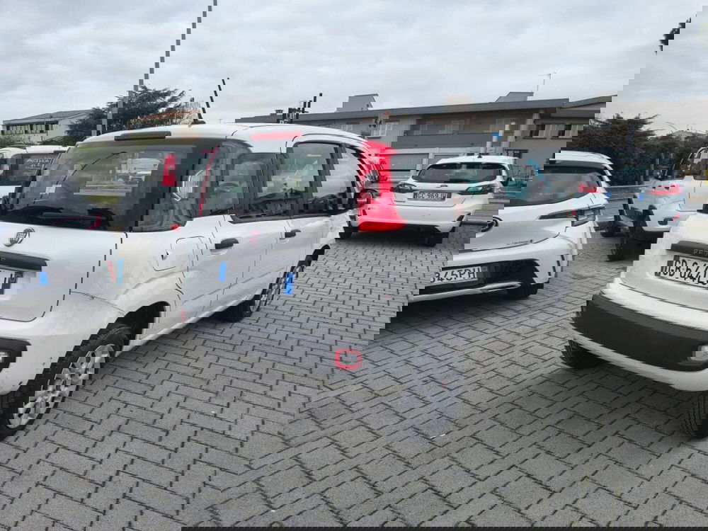 Fiat Panda usata a Firenze (4)