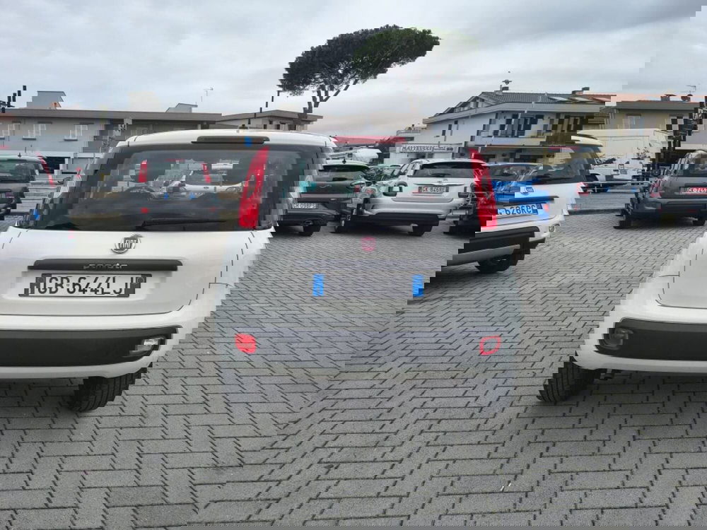 Fiat Panda usata a Firenze (5)