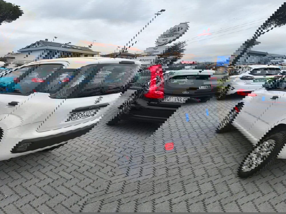 Fiat Panda usata a Firenze (6)