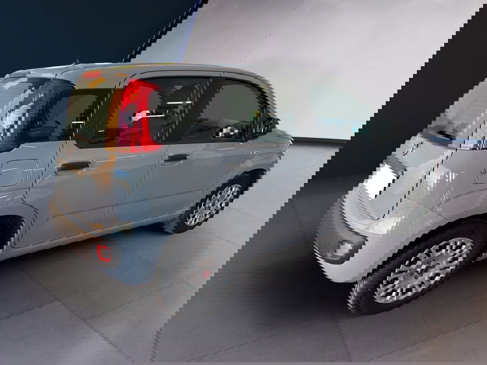 Fiat Panda usata a Torino (4)