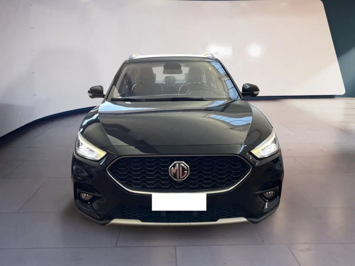 Mg ZS usata a Torino