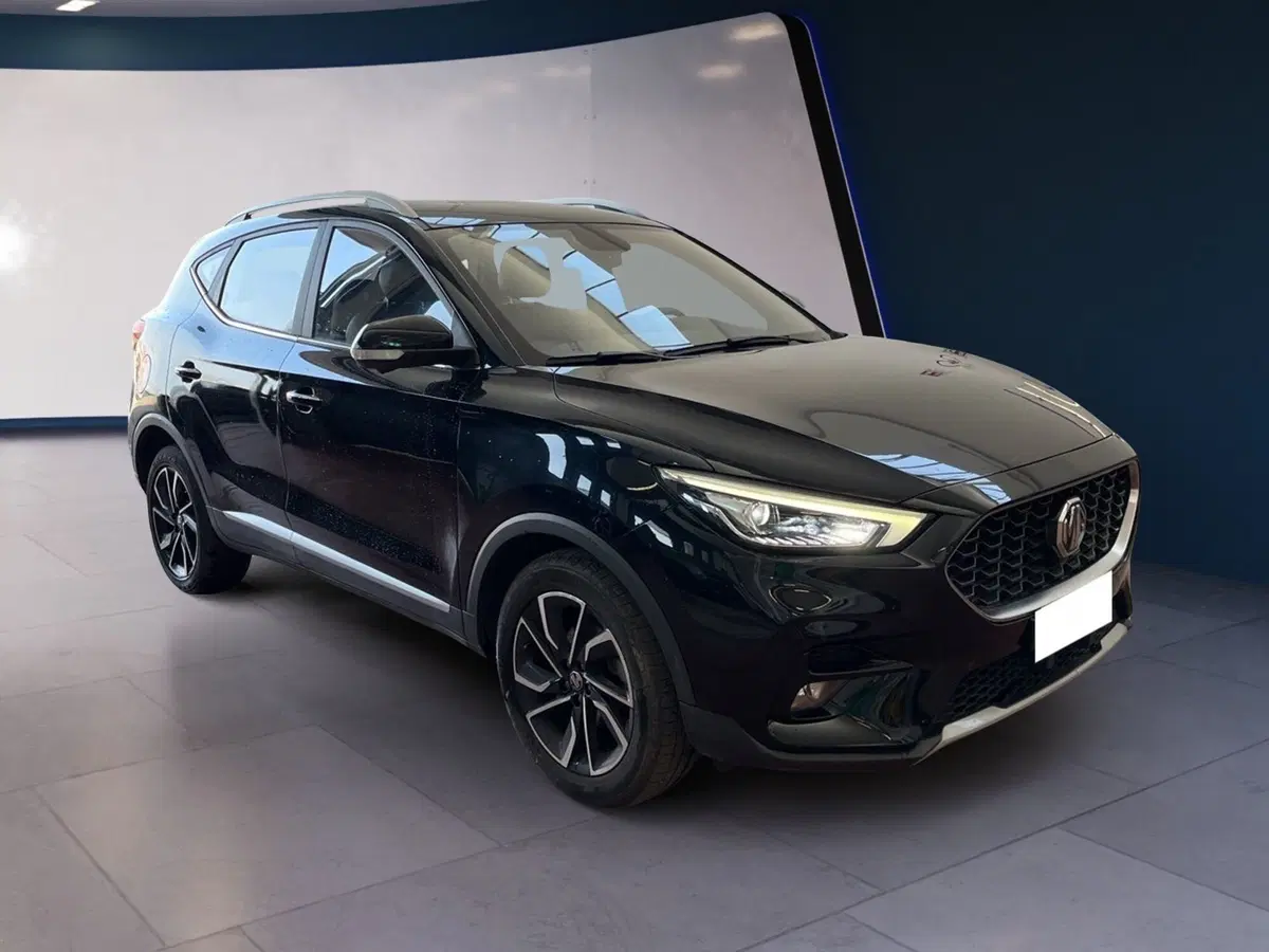 Mg ZS usata a Torino (2)