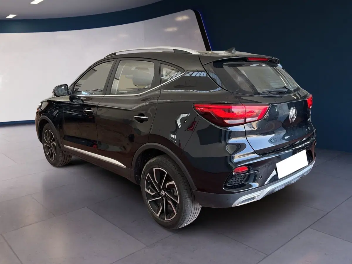 Mg ZS usata a Torino (4)