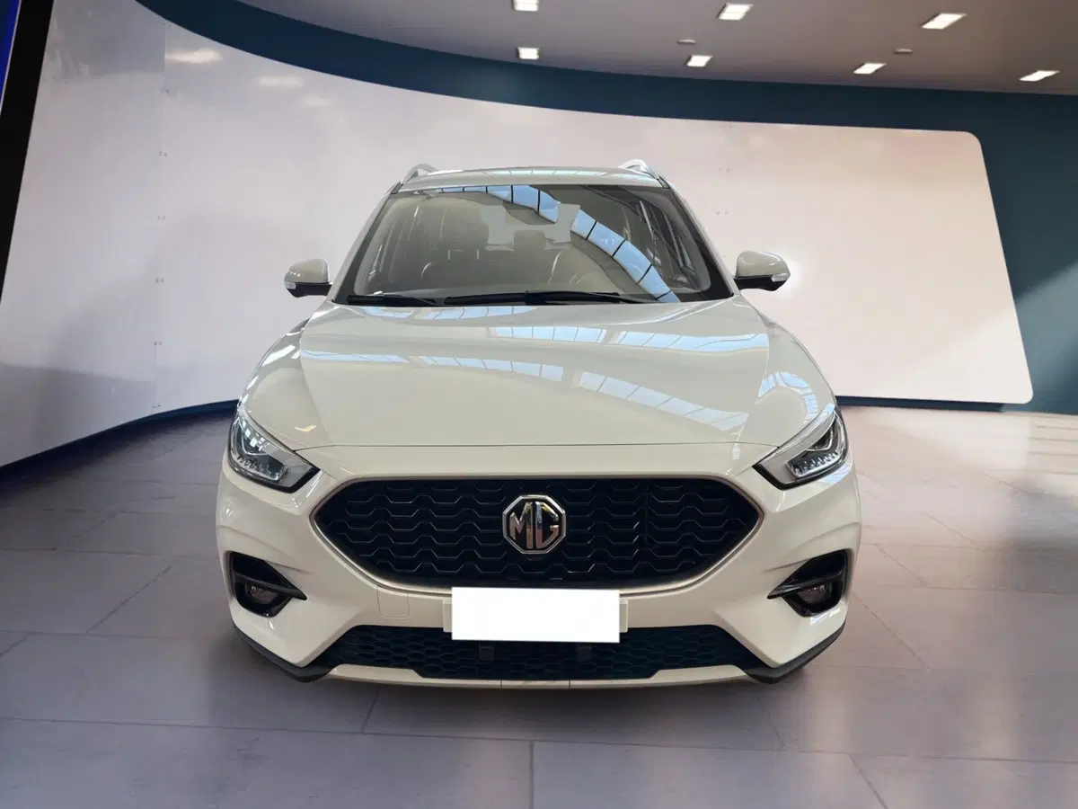 Mg ZS usata a Torino