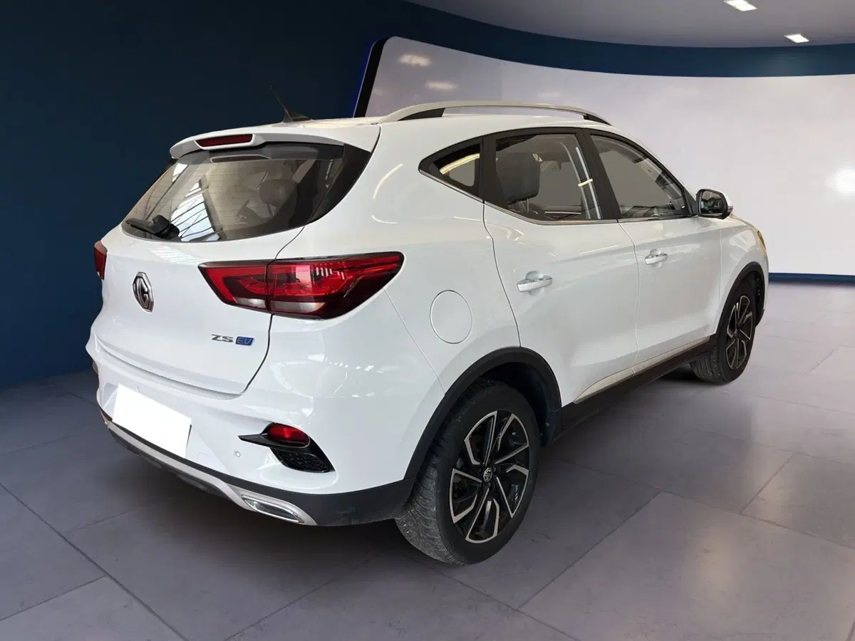 Mg ZS usata a Torino (6)