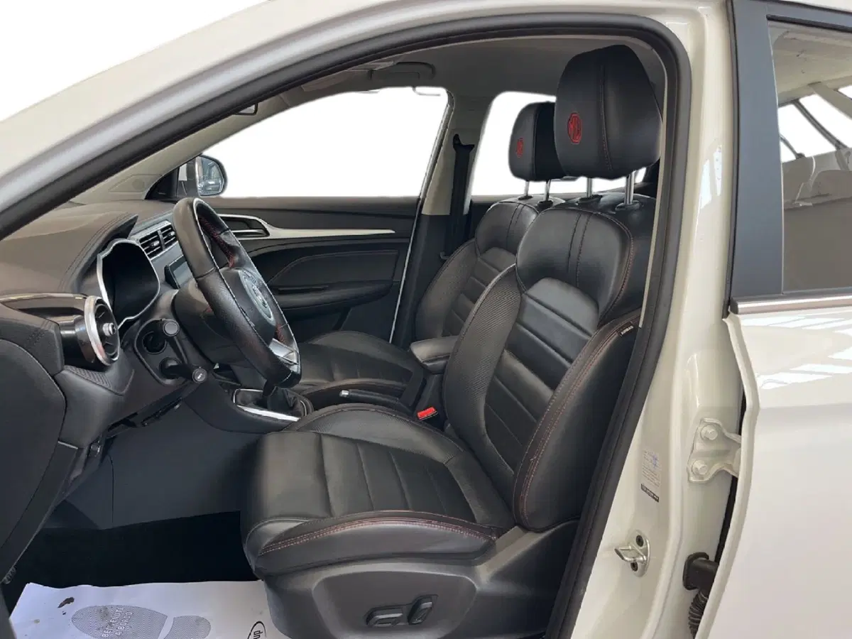 Mg ZS usata a Torino (9)